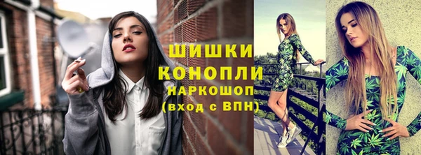 гидропоника Ессентукская