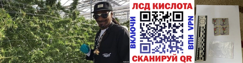 Марки N-bome 1500мкг  Купить где  Светлоград 