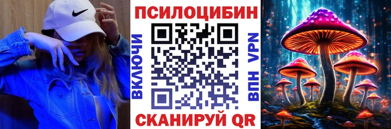 Псилоцибиновые грибы мицелий  Купить закладки  Светлоград 