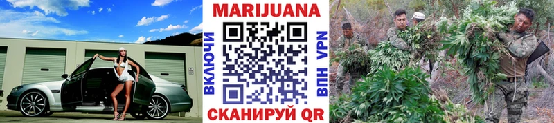 Шишки марихуана гибрид  Купить где  Светлоград 